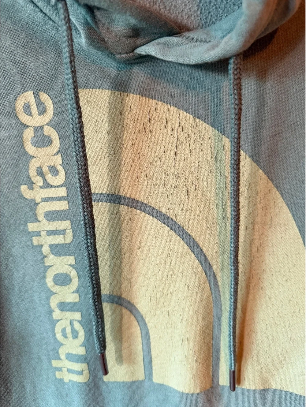 The North Face Men's Hoodie Sweatshirt Size Small Sage Green